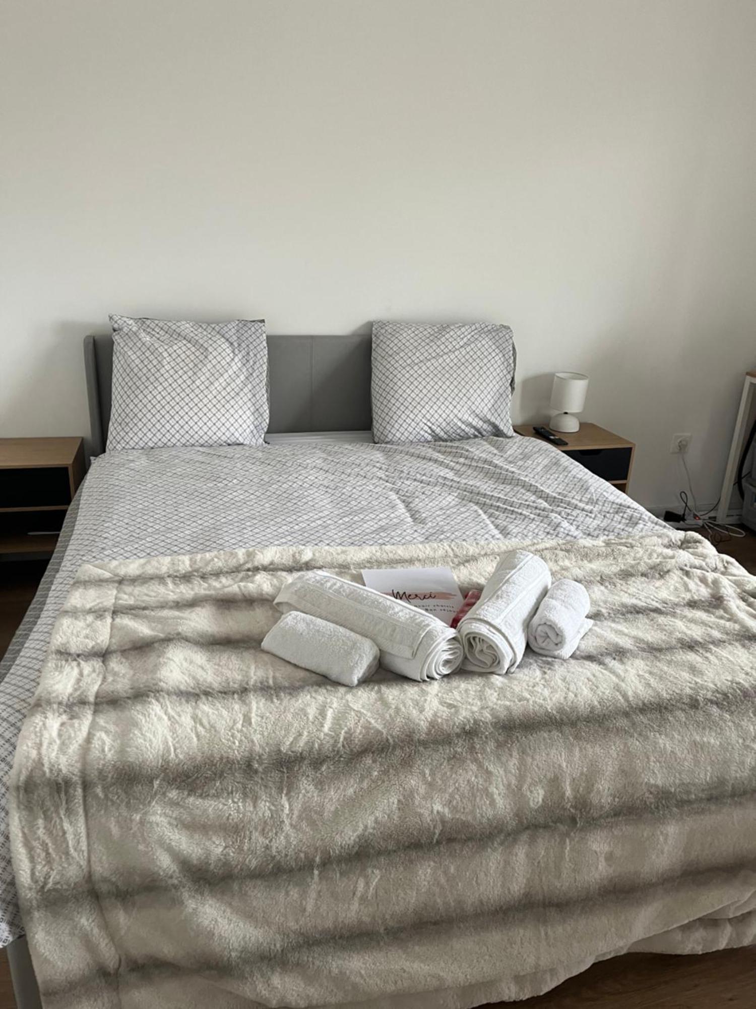 Appartement Luxueux Au Coeur De Lille Ngoại thất bức ảnh